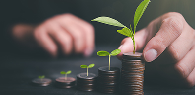 Picture of a seedling atop a stack of coins depicting financial growth