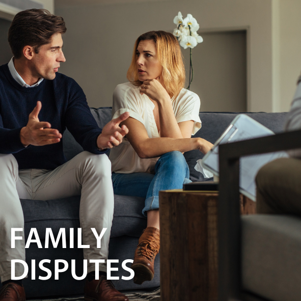 Family disputes showing a couple arguing 