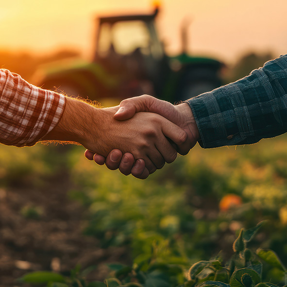 Two farmers shaking hands